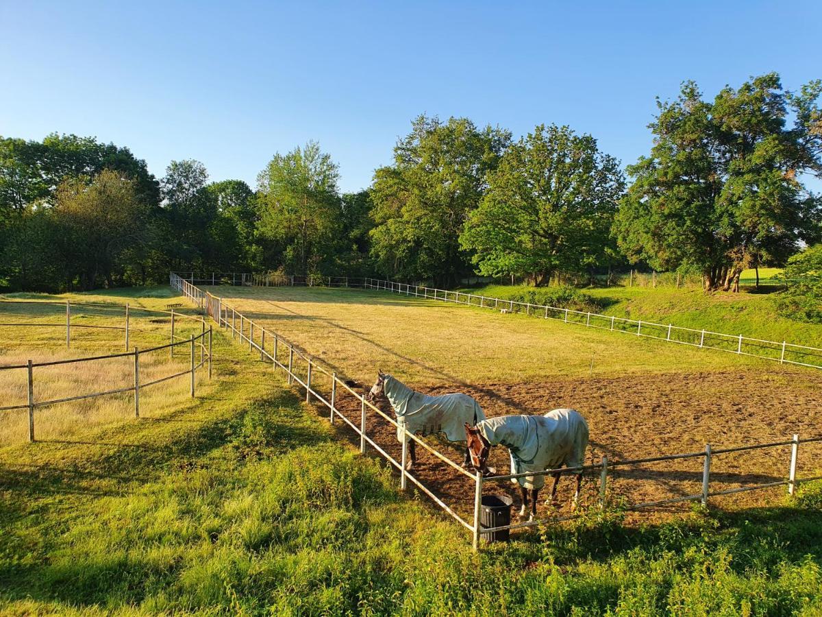 Ferme Equestre & Chambres D'Hotes Gateau Stables Proche Guedelon Saint-Amand-en-Puisaye Exterior foto