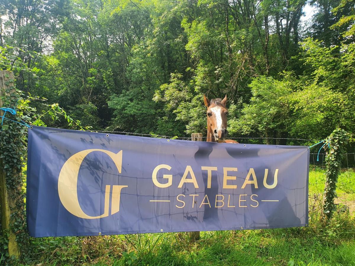 Ferme Equestre & Chambres D'Hotes Gateau Stables Proche Guedelon Saint-Amand-en-Puisaye Exterior foto