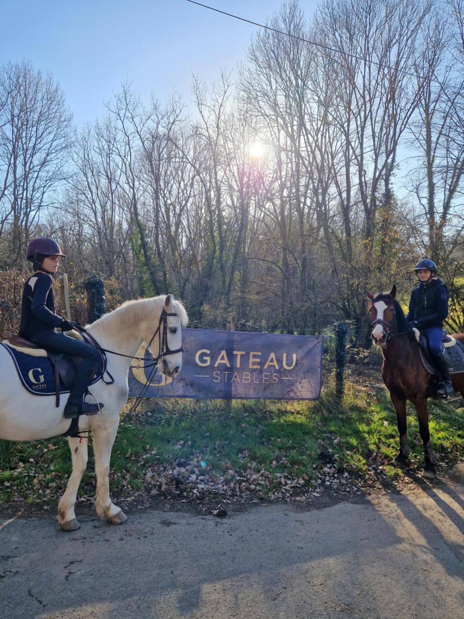 Ferme Equestre & Chambres D'Hotes Gateau Stables Proche Guedelon Saint-Amand-en-Puisaye Exterior foto